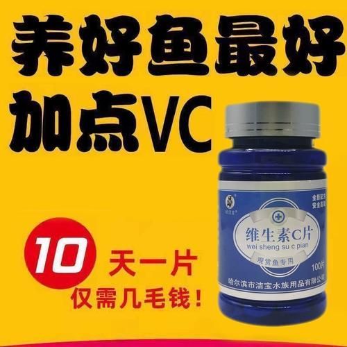 有哪些維生素品牌適合龍魚幼魚，龍魚幼魚用維生素補充計劃表，龍魚幼魚維生素補充劑