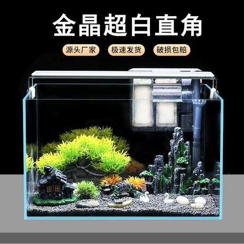 如何為新手選擇適合的魚缸,新手養魚不知道魚缸怎么選 龍魚百科 第5張 如何為新手選擇適合的魚缸,新手養魚不知道魚缸怎么選 如何為新手選擇適合的魚缸,新手養魚不知道魚缸怎么選 龍魚百科 第5張