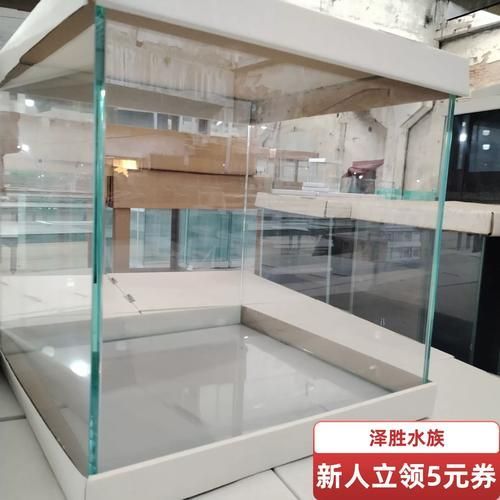 如何為新手選擇適合的魚缸,新手養魚不知道魚缸怎么選 龍魚百科 第4張 如何為新手選擇適合的魚缸,新手養魚不知道魚缸怎么選 如何為新手選擇適合的魚缸,新手養魚不知道魚缸怎么選 龍魚百科 第4張