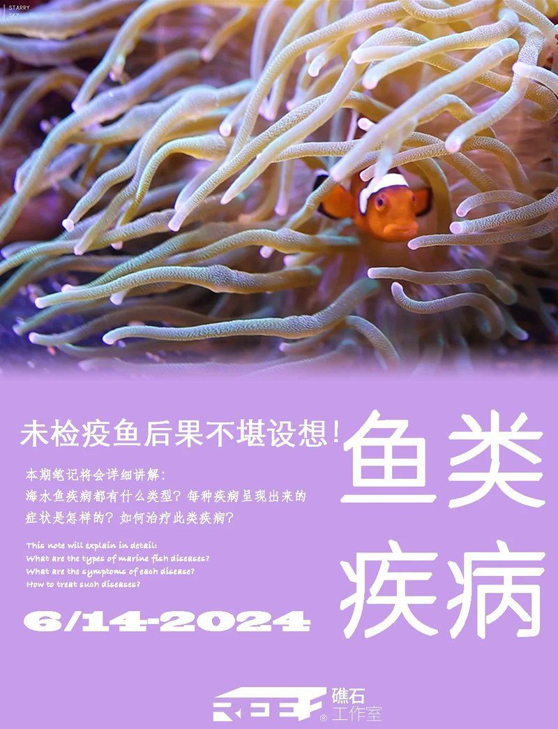 海水魚(yú)細(xì)菌感染多久能好，海水魚(yú)細(xì)菌感染多久能好海水魚(yú)細(xì)菌感染多久能好