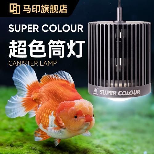馬印水族哪個(gè)產(chǎn)品最受歡迎？，馬印水族哪個(gè)產(chǎn)品最受歡迎馬印水族哪個(gè)產(chǎn)品最受歡迎 馬印水族哪個(gè)產(chǎn)品最受歡迎？，馬印水族哪個(gè)產(chǎn)品最受歡迎馬印水族哪個(gè)產(chǎn)品最受歡迎 龍魚(yú)百科 第5張