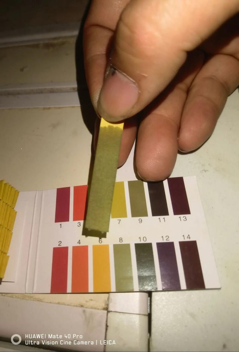 龍魚爛鰭最簡單方法視頻，龍魚爛鰭最簡單方法詳解“龍魚爛鰭最簡單方法”、最簡單方法