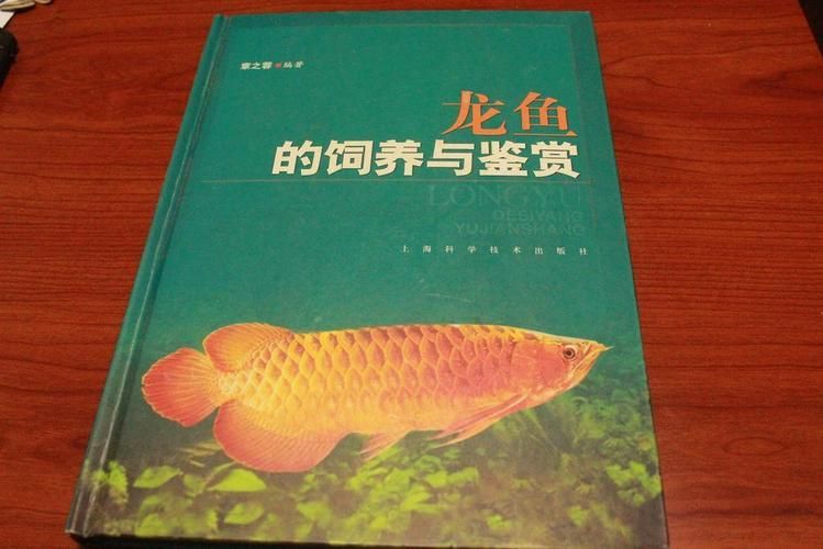黃瘸子在“大道龍魚”故事中扮演什么角色？，網絡小說《截運道師》《截運道師》《截運道師》《截運道師》