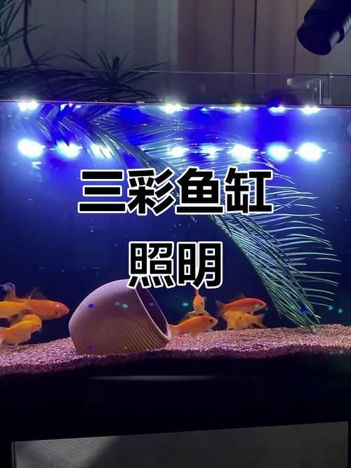 如何選擇適合的水族燈？，建議|這才是水族燈選購的正確方法喃