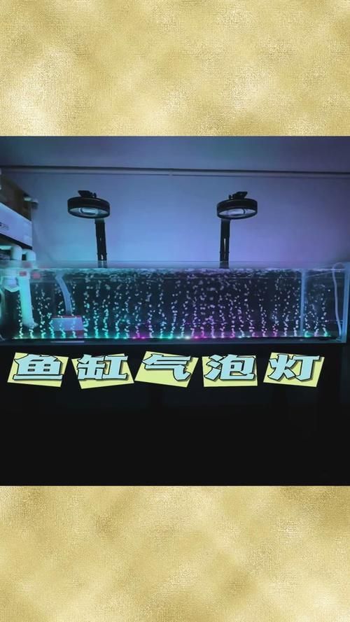 如何選擇適合的水族燈？，建議|這才是水族燈選購的正確方法喃