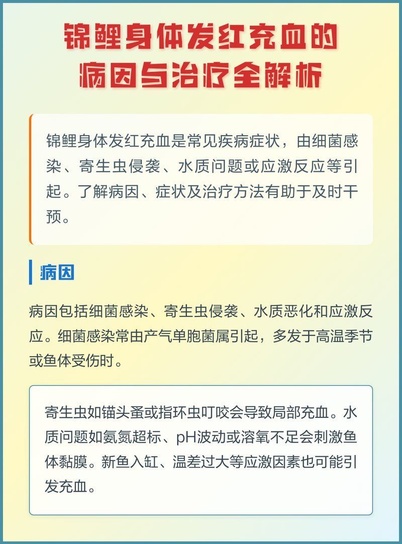 錦鯉身體發紅充血