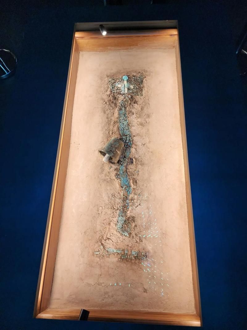2024年有哪些關于龍魚的考古發現？，2024年關于龍魚的考古發現，用戶要求詳解2024年關于龍魚的考古發現 2024年有哪些關于龍魚的考古發現？，2024年關于龍魚的考古發現，用戶要求詳解2024年關于龍魚的考古發現 龍魚百科 第4張