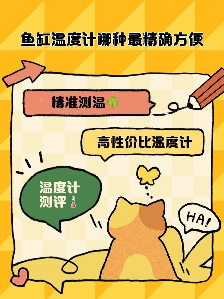 如何記錄龍魚(yú)缸的水溫變化？