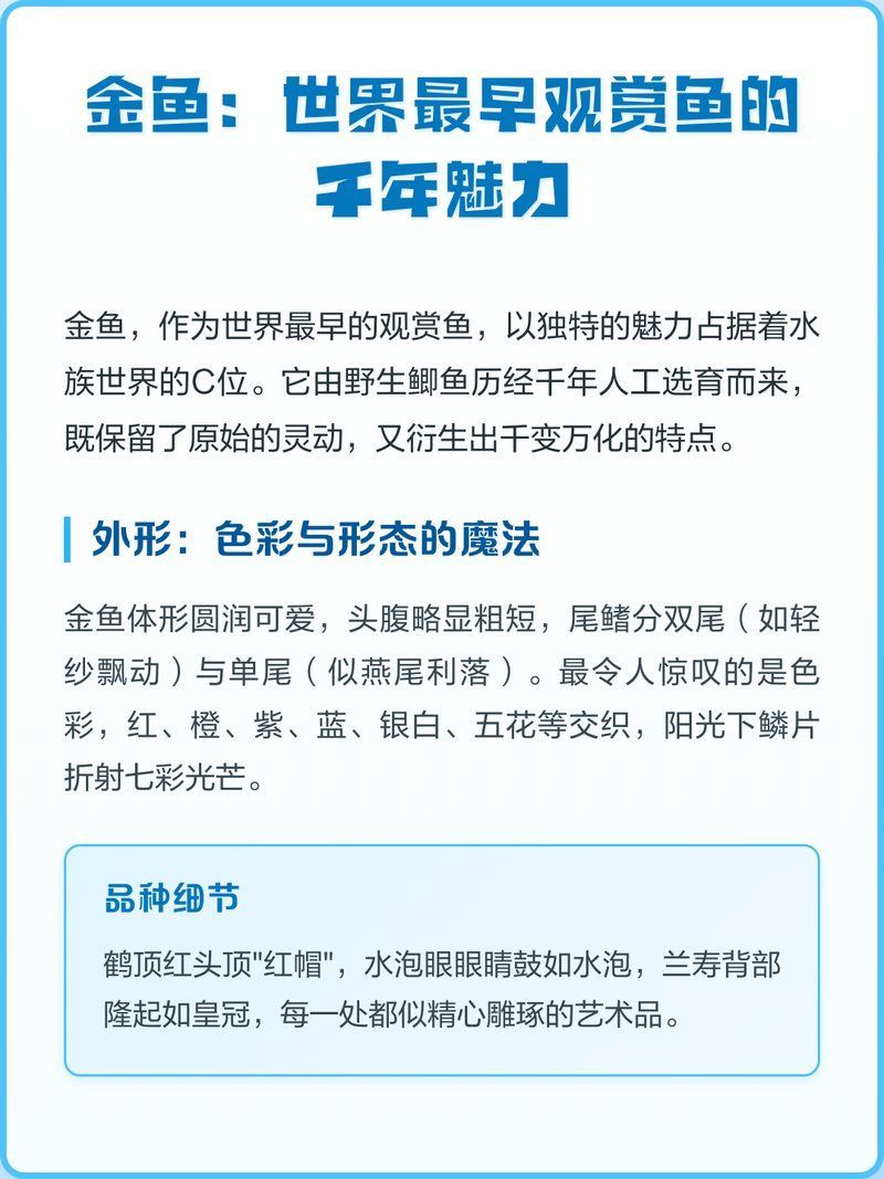金魚和龍魚哪個更有觀賞價值，金魚和龍魚哪個更有觀賞價值，