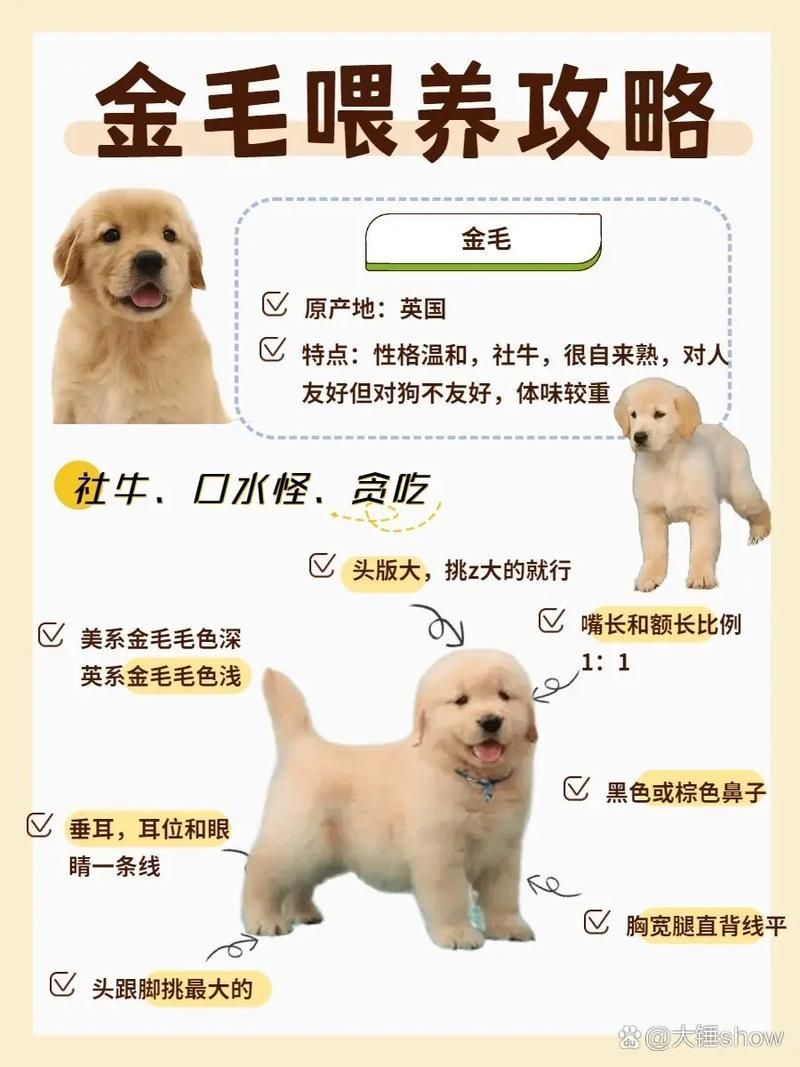 能否提供更詳細的飼養指南，西安寵物狗狗狗飼養指南（****） 能否提供更詳細的飼養指南，西安寵物狗狗狗飼養指南（****） 龍魚百科 第10張