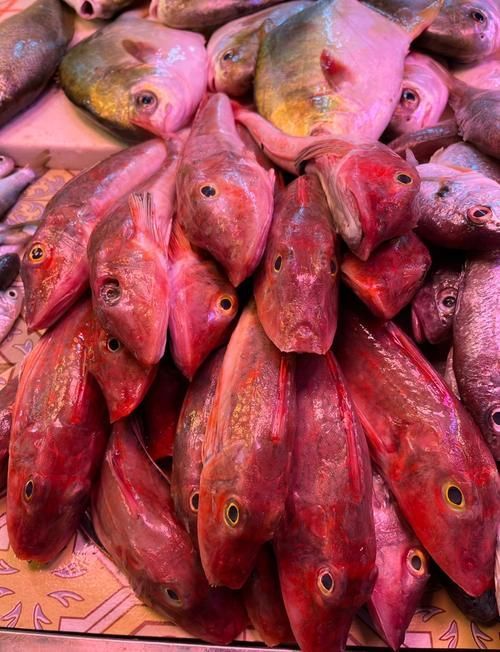 紅娘魚和紅龍魚有什么區別，紅娘魚與紅龍魚的區別