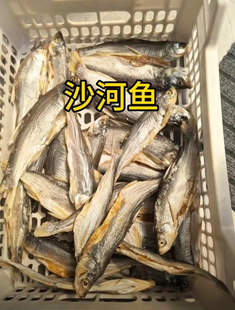 沙河龍魚的養(yǎng)殖技術(shù)有哪些？，沙河龍魚的養(yǎng)殖 沙河龍魚的養(yǎng)殖技術(shù)有哪些？，沙河龍魚的養(yǎng)殖 龍魚百科 第2張