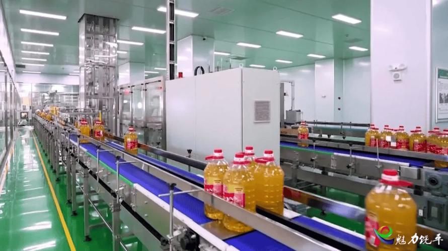 金龍魚廣西工廠的規模，金龍魚廣西工廠規模參觀筆記與動態思考完成金龍魚廣西工廠規模