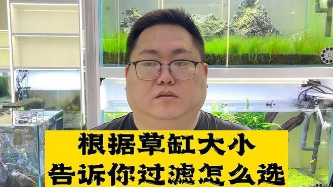 如何選擇適合的魚缸過濾系統，選擇適合的魚缸過濾系統是確保水質清潔和魚類健康的關鍵