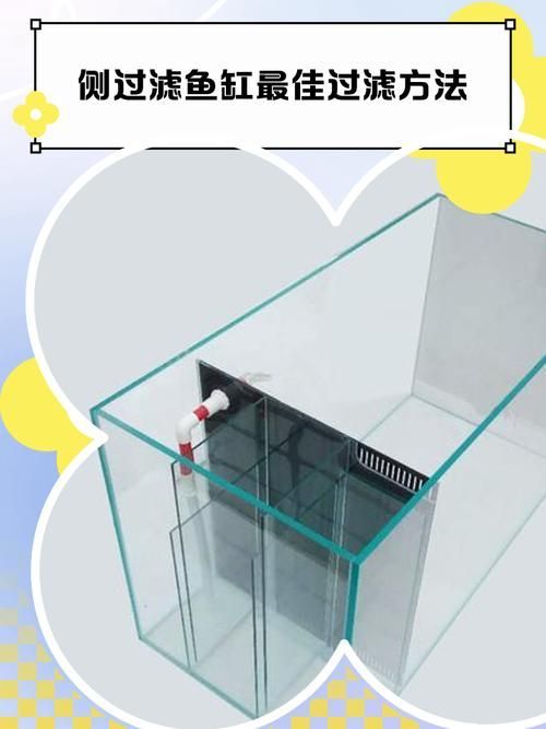如何預(yù)防龍魚炸鱗，如何預(yù)防龍魚炸鱗的科學(xué)預(yù)防指南（1000字詳解）
