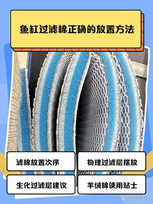 如何預(yù)防龍魚炸鱗，如何預(yù)防龍魚炸鱗的科學(xué)預(yù)防指南（1000字詳解）