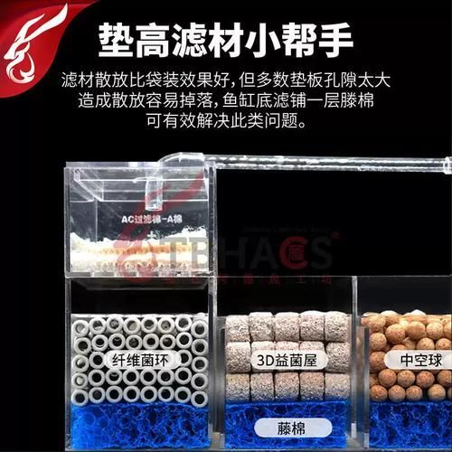 如何預(yù)防龍魚炸鱗，如何預(yù)防龍魚炸鱗的科學(xué)預(yù)防指南（1000字詳解）