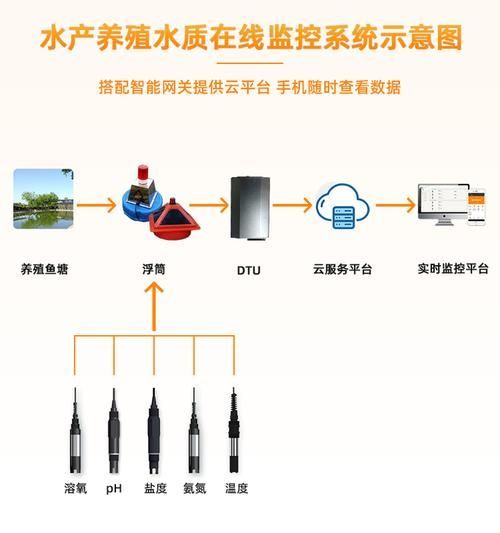如何預防松鱗病復發,如何預防魚缸松鱗病復發 龍魚百科 第3張 如何預防松鱗病復發,如何預防魚缸松鱗病復發 如何預防松鱗病復發,如何預防魚缸松鱗病復發 龍魚百科 第3張