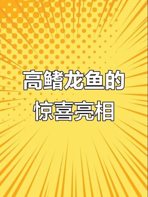 給我推薦一些稀有龍魚品種，水族箱中的稀有龍魚品種推薦，黑色鱗片和優雅的動作受到歡迎