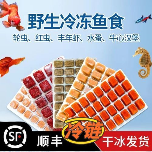 龍魚餌料中哪些成分最重要？，龍魚餌料中哪些成分最重要？如何判斷龍魚是否營養均衡？