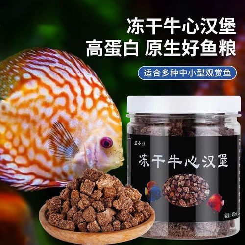 龍魚餌料中哪些成分最重要？，龍魚餌料中哪些成分最重要？如何判斷龍魚是否營養均衡？