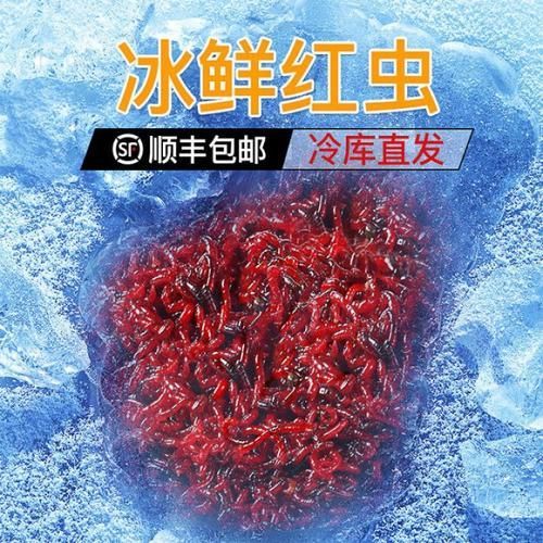 龍魚餌料中哪些成分最重要？，龍魚餌料中哪些成分最重要？如何判斷龍魚是否營養均衡？