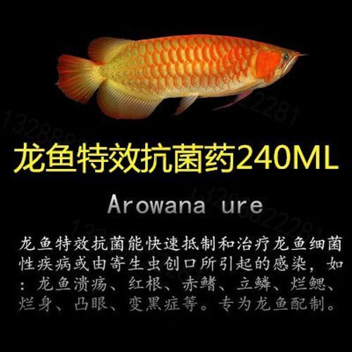 祥龍龍魚清菌靈的價格是多少?,祥龍龍魚清菌靈主流價格對比表 龍魚百科 第1張 祥龍龍魚清菌靈的價格是多少?,祥龍龍魚清菌靈主流價格對比表 祥龍龍魚清菌靈的價格是多少?,祥龍龍魚清菌靈主流價格對比表 龍魚百科 第1張