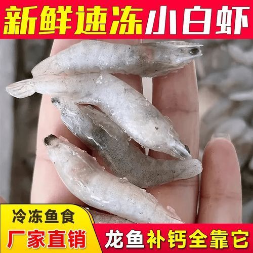 給我一些龍魚喂食海蝦的圖片示例