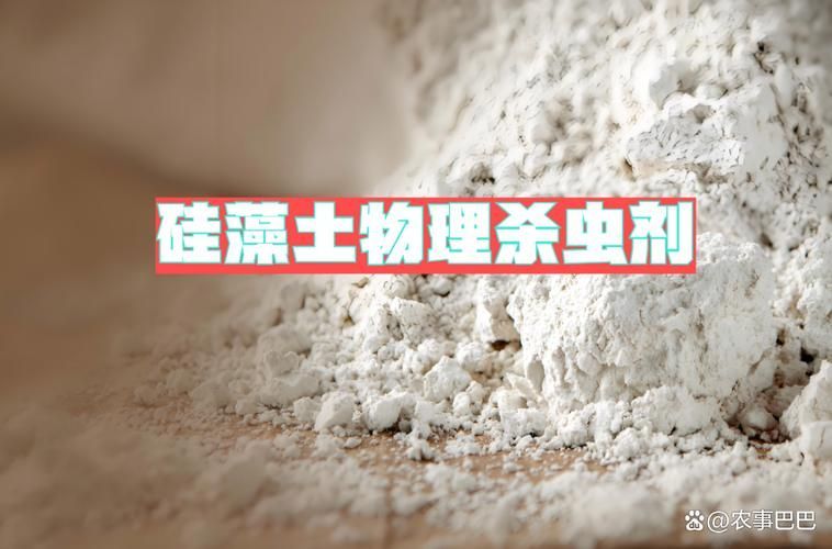 天然方法防治面包蟲需要多長(zhǎng)時(shí)間見(jiàn)效,天然方法防治面包蟲需要多長(zhǎng)時(shí)間見(jiàn)效思考完成arxiv論文助手 龍魚百科 第3張 天然方法防治面包蟲需要多長(zhǎng)時(shí)間見(jiàn)效,天然方法防治面包蟲需要多長(zhǎng)時(shí)間見(jiàn)效思考完成arxiv論文助手 天然方法防治面包蟲需要多長(zhǎng)時(shí)間見(jiàn)效,天然方法防治面包蟲需要多長(zhǎng)時(shí)間見(jiàn)效思考完成arxiv論文助手 龍魚百科 第3張