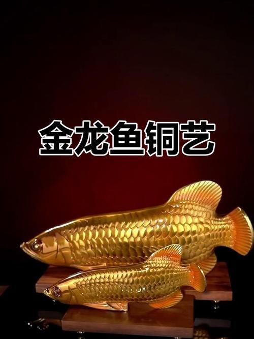龍魚(yú)擺件哪個(gè)材質(zhì)最好，龍魚(yú)擺件哪個(gè)材質(zhì)好