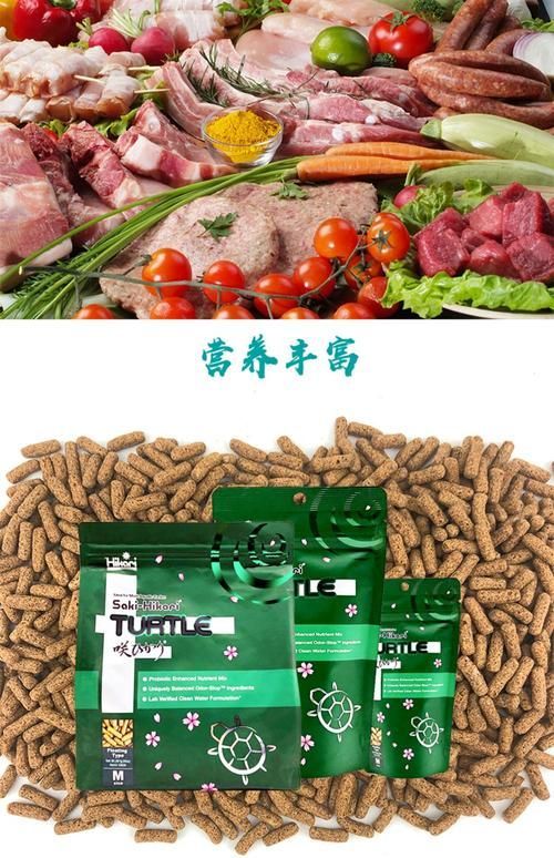 日清和高夠力哪個(gè)更適合幼龍？，日清和高夠力哪個(gè)更適合“幼犬糧” 日清和高夠力哪個(gè)更適合幼龍？，日清和高夠力哪個(gè)更適合“幼犬糧” 龍魚(yú)百科 第1張