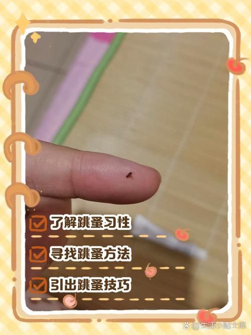 如何判斷魚(yú)缸是否消毒干凈,arxiv論文助手arxiv論文助手判斷魚(yú)缸是否消毒干凈 龍魚(yú)百科 第10張 如何判斷魚(yú)缸是否消毒干凈,arxiv論文助手arxiv論文助手判斷魚(yú)缸是否消毒干凈 如何判斷魚(yú)缸是否消毒干凈,arxiv論文助手arxiv論文助手判斷魚(yú)缸是否消毒干凈 龍魚(yú)百科 第10張