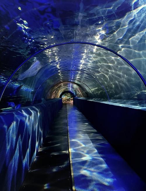秦皇島有哪些知名的水族館，秦皇島旅游攻略秦皇島水族館親子游攻略