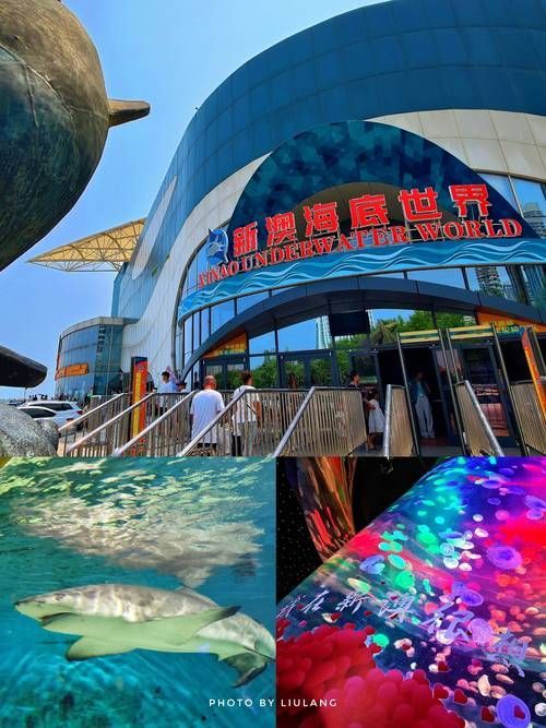 秦皇島有哪些知名的水族館，秦皇島旅游攻略秦皇島水族館親子游攻略