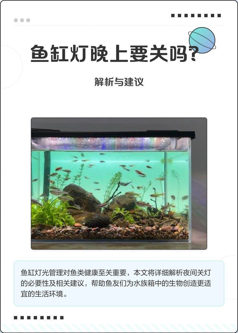 如何設(shè)置龍魚缸的照明系統(tǒng)？，如何設(shè)置龍魚缸照明系統(tǒng)