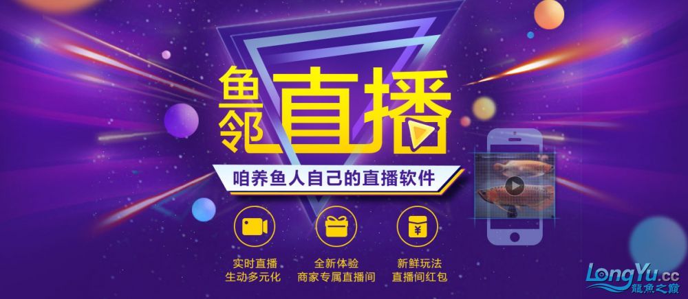 推薦一些觀賞魚市場價格查詢工具，觀賞魚價格查詢工具