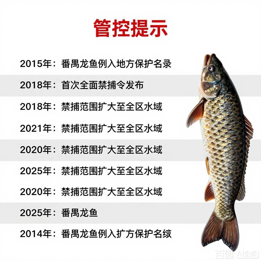能否提供番禺龍魚被禁的詳細(xì)時間線，番禺龍魚被禁的詳細(xì)時間線 能否提供番禺龍魚被禁的詳細(xì)時間線，番禺龍魚被禁的詳細(xì)時間線 龍魚百科 第3張