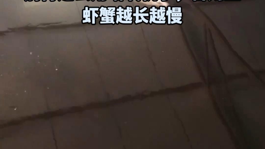 如何預防魚類細菌感染 如何預防魚類細菌感染 龍魚百科 第7張