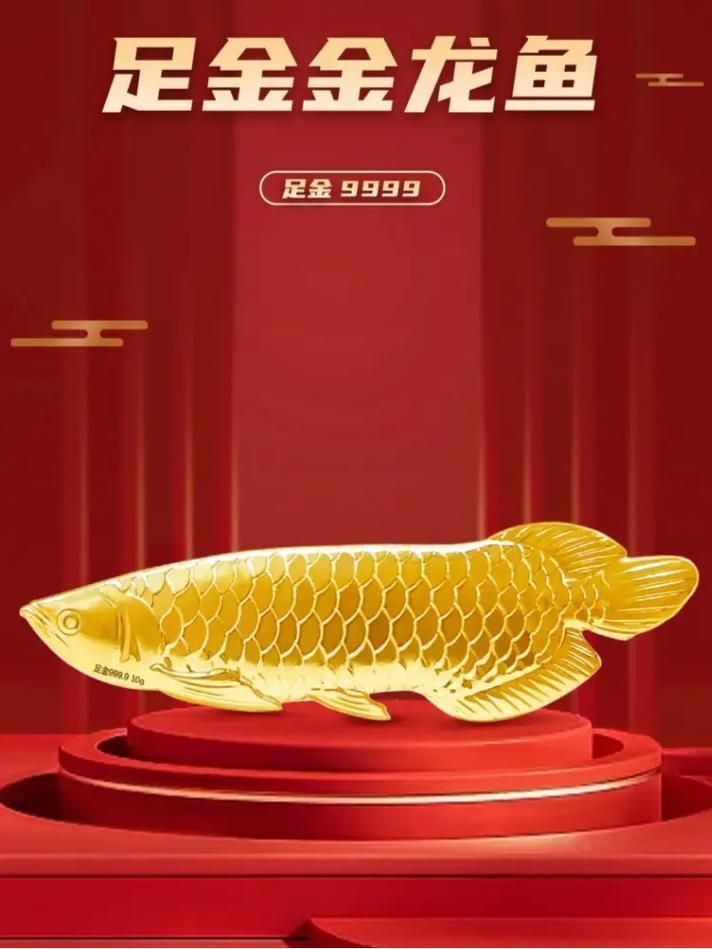 給我一些1000萬金龍魚的圖片，如何鑒別1000萬金龍魚的真偽