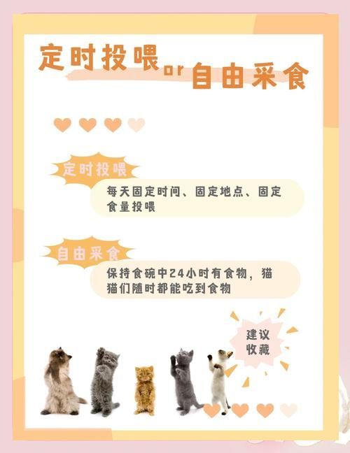 如何預防魚咬魚再次發生，arxiv論文助手arxiv論文助手（arxiv論文助手”