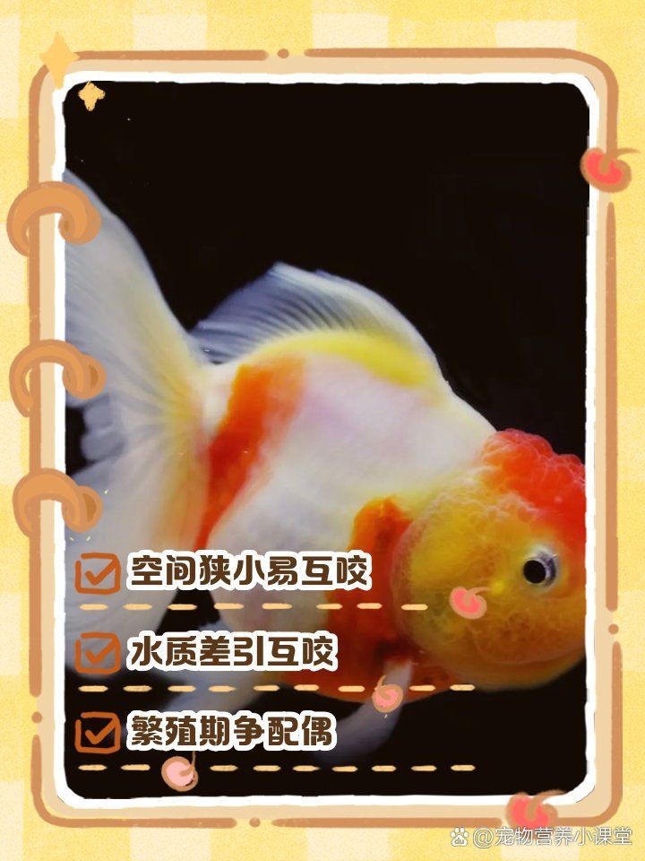 如何預防魚咬魚再次發生，arxiv論文助手arxiv論文助手（arxiv論文助手”