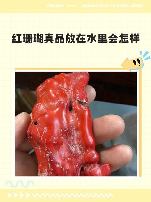 如何判斷龍頭魚吊墜的真偽，如何判斷龍頭魚吊墜的真偽，龍頭魚吊墜的真偽對比圖