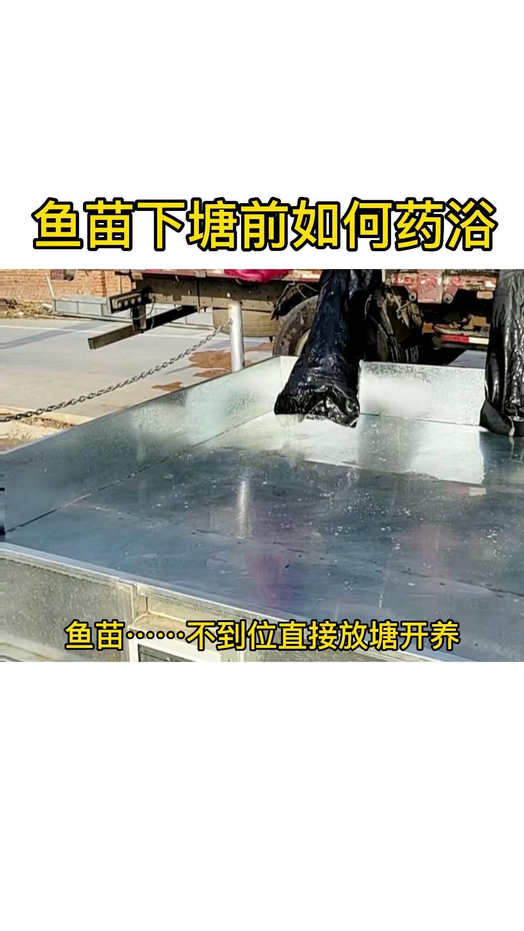 哪些藥物對(duì)魚類最安全，arxiv論文助手arxiv論文助手詳解哪些藥物最安全 哪些藥物對(duì)魚類最安全，arxiv論文助手arxiv論文助手詳解哪些藥物最安全 龍魚百科 第6張