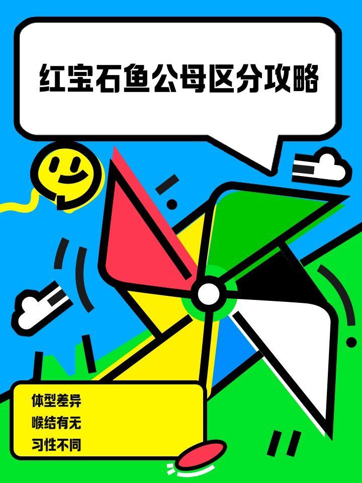如何區(qū)分馬拉莫寶石魚雌雄？，如何區(qū)分馬拉莫寶石魚的雌雄？ 如何區(qū)分馬拉莫寶石魚雌雄？，如何區(qū)分馬拉莫寶石魚的雌雄？ 龍魚百科 第6張