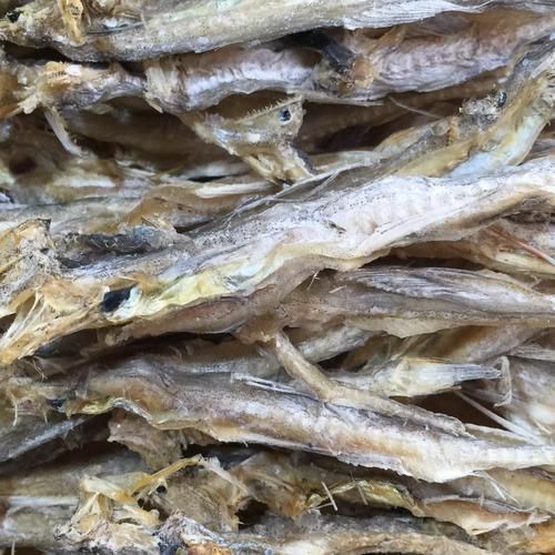 石阡龍魚有哪些主打產品？，石阡龍魚主打產品與石阡龍魚有哪些主打產品的主打產品 石阡龍魚有哪些主打產品？，石阡龍魚主打產品與石阡龍魚有哪些主打產品的主打產品 龍魚百科 第2張