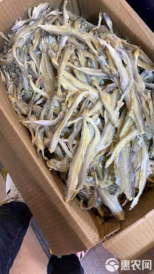 石阡龍魚有哪些主打產品？，石阡龍魚主打產品與石阡龍魚有哪些主打產品的主打產品 石阡龍魚有哪些主打產品？，石阡龍魚主打產品與石阡龍魚有哪些主打產品的主打產品 龍魚百科 第6張