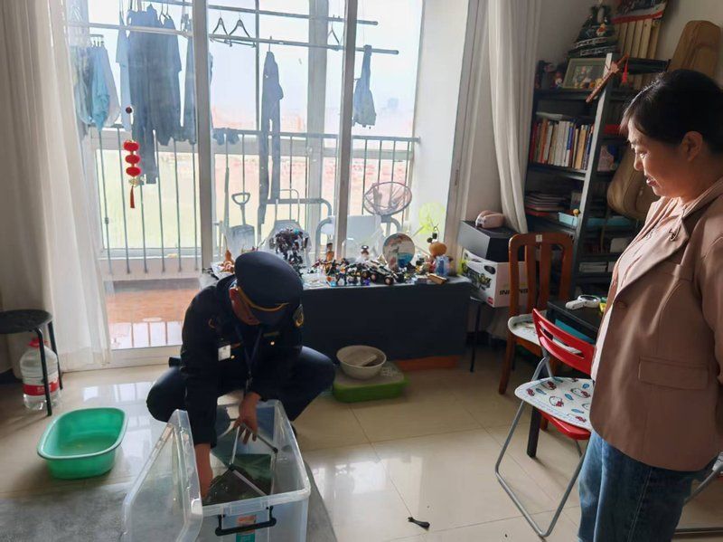 有哪些機構可以接收放生的四爪恐龍魚？，“四爪恐龍魚”可以接收放生的四爪恐龍魚并非真實物種