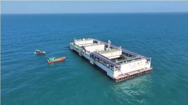 樂東黎族龍魚養殖有哪些挑戰，樂東黎族觀賞魚養殖的挑戰