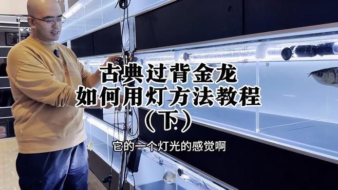 過(guò)背金龍用什么燈光最好，過(guò)背金龍魚(yú)燈光配置清單