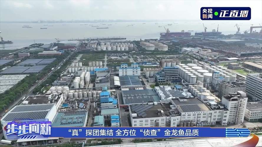 能否提供金龍魚蕪湖生產(chǎn)基地的圖片，能否提供金龍魚蕪湖生產(chǎn)基地的圖片？ 能否提供金龍魚蕪湖生產(chǎn)基地的圖片，能否提供金龍魚蕪湖生產(chǎn)基地的圖片？ 龍魚百科 第4張
